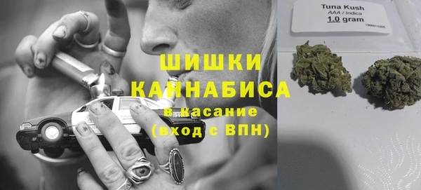 ГАЛЛЮЦИНОГЕННЫЕ ГРИБЫ Армянск