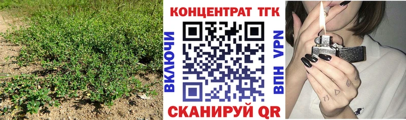 где найти нарко площадка состав Дистиллят ТГК THC oil Елец